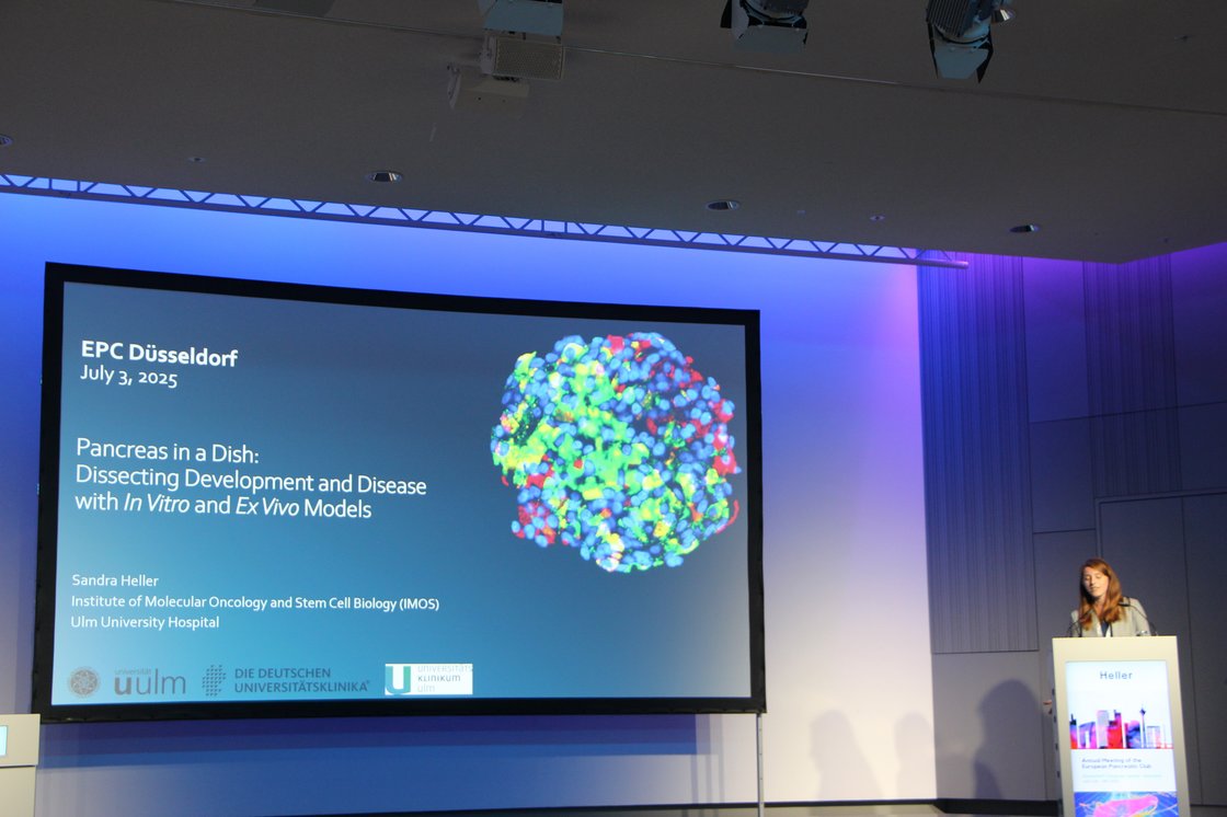 Quelle: IMOS Presentation of Sandra Heller