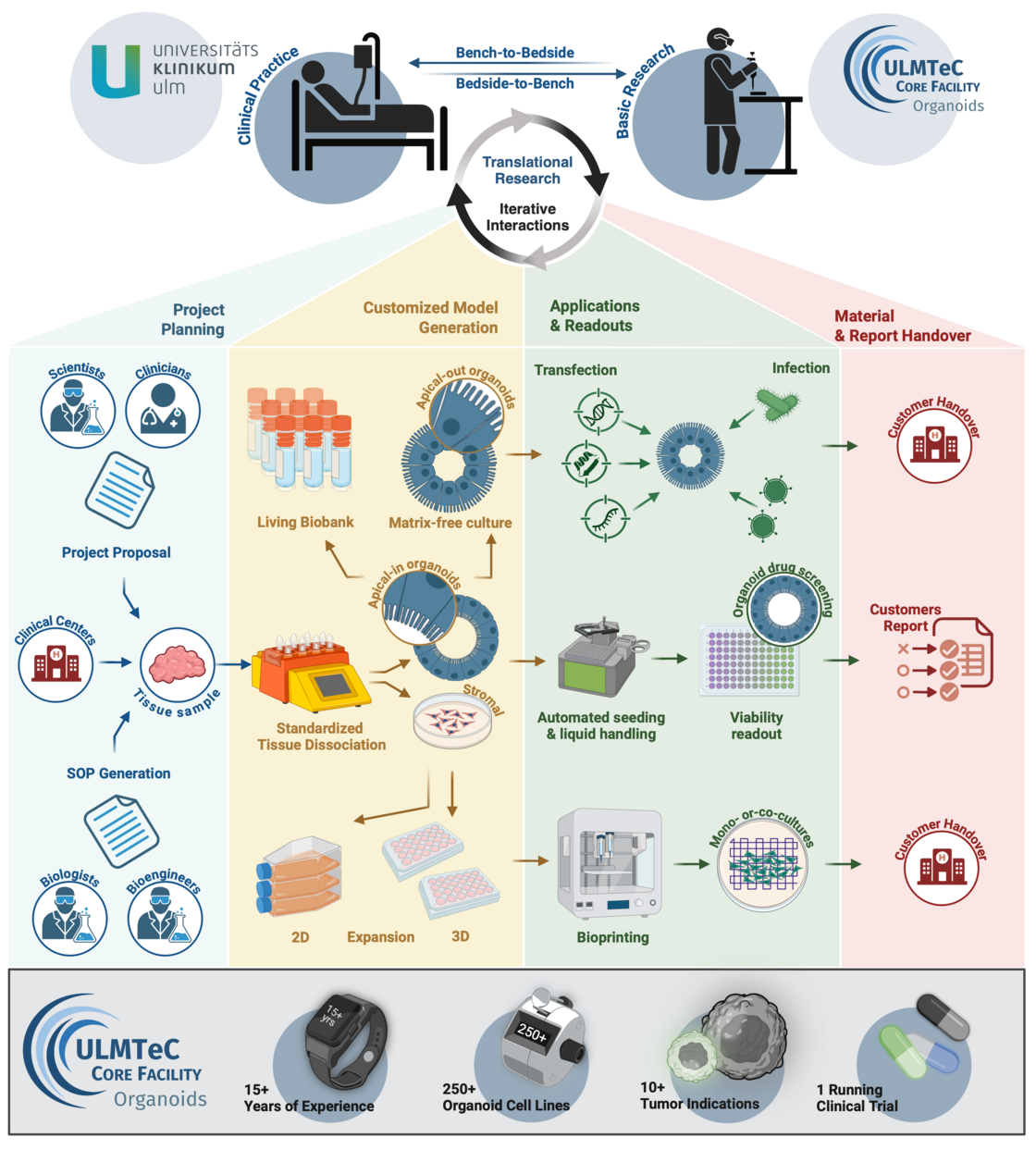 Quelle: CFO CFO overview diagram of tasks, services and outcomes of the core