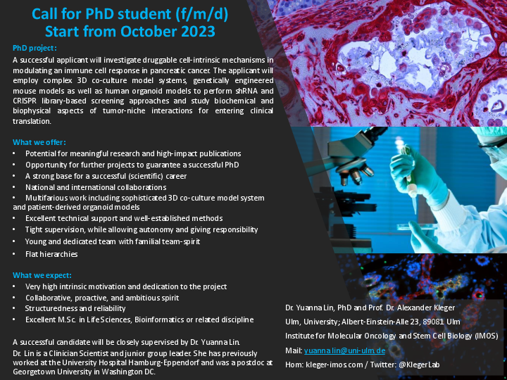 uni ulm phd positions