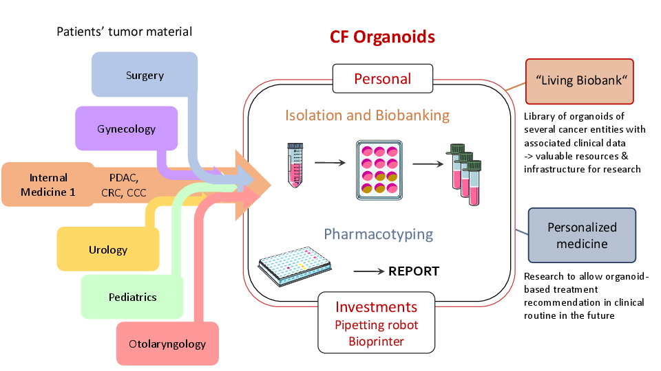 Workflow Core Facility Organoids