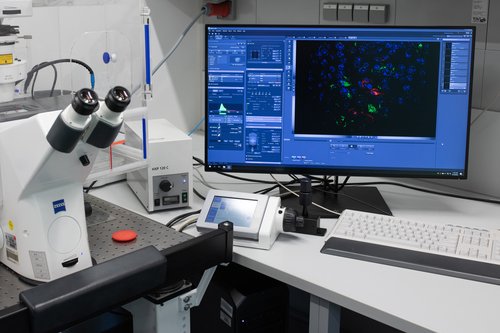 Diese Apparatur zur konfokalen Mikroskopie visualisiert Virus-infizierte Zellen