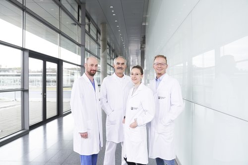 Das Team der Sektion für Interdisziplinäre Pankreatologie (SIP) am UKU. V.l.: PD Dr. Lukas Perkhofer, Oberarzt der Sektion, Prof. Dr. Marko Kornmann, Stellv. Sektionsleiter, Dr. Katja Kilani, Ärztin in Weiterbildung und Prof. Dr. Alexander Kleger, Leiter der Sektion für Interdisziplinäre Pankreatologie und Direktor des Instituts für Molekulare Onkologe und Stammzellbiologie.